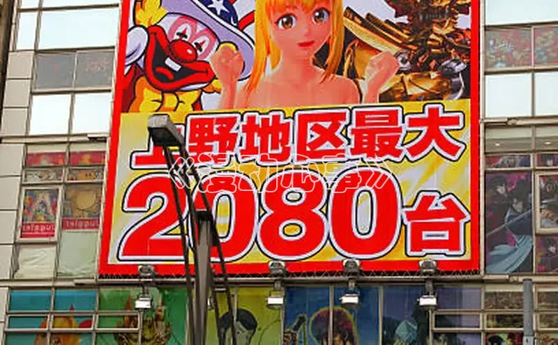 樱花动漫官方入门网站2024最新